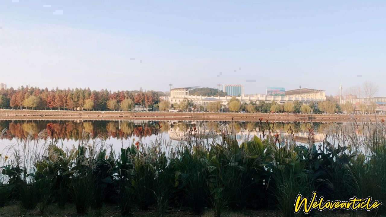 秋天的河边比较冷