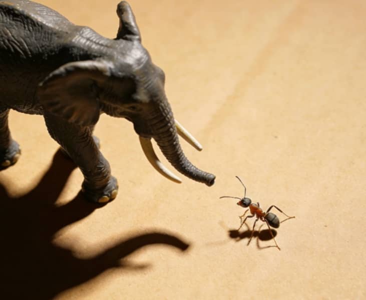 spike-blog-summary-image-小众模型 集合